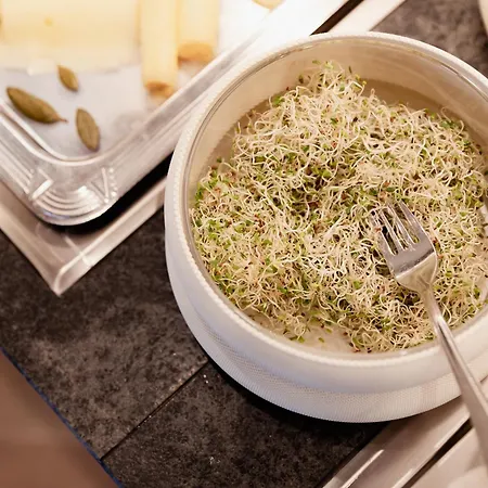 Biyou Ecoquartier In Den Bergen ホテル 3*