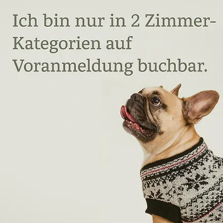 Hotell Biyou Ecoquartier In Den Bergen Schladming