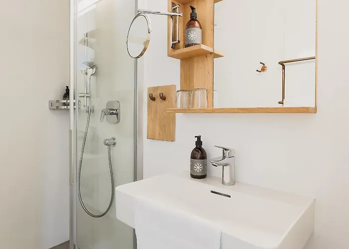 Biyou Ecoquartier In Den Bergen 3* Schladming