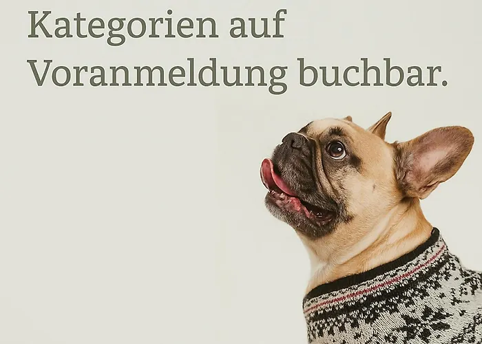 Готель Biyou Ecoquartier In Den Bergen Шладмінг